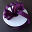Grosgrain Ribbon (Turquoise, 3/8")