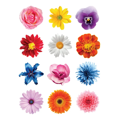 Colorful Flower Stickers 1.2" Round  32mm Color Print 10/pk