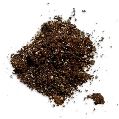 Miracle Gro All Purpose Potting Soil 8qt (256 Oz)