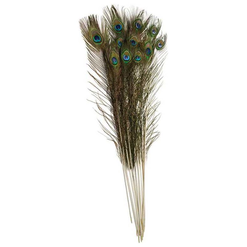 Peacock extra long feathers 12/pk 36"