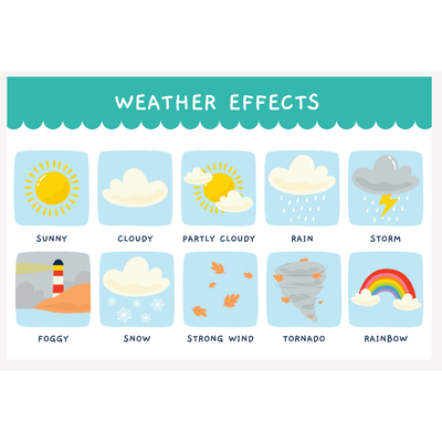 Weather Effects poster 18 x 24