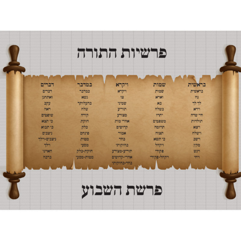 Parshios hatorah poster 1.  18'' x 24''