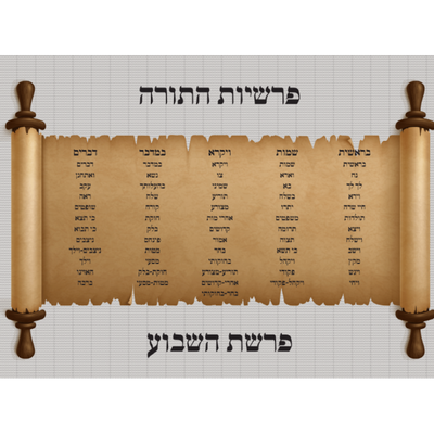 Parshios hatorah poster 1.  18'' x 24''