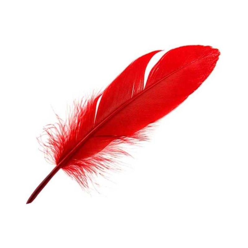 Feathers 14gr (Black)