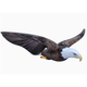 Inflatable Eagle 8" Wingspan