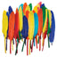 DUck Quills Feathers 14gr