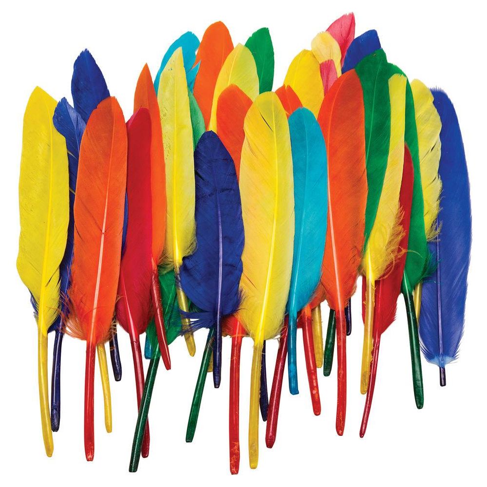 DUck Quills Feathers 14gr