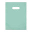 Frosted Bags (12" x 15", Aqua, 250 Pack)