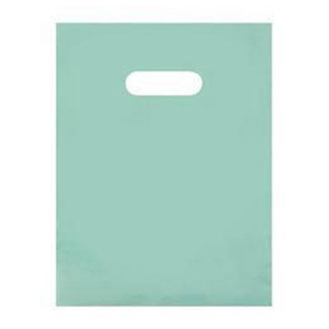 Frosted Bags (12" x 15", Aqua, 250 Pack)