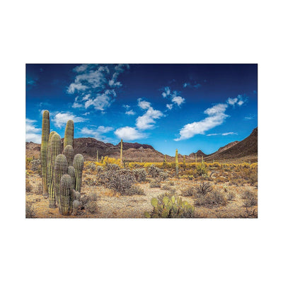 Desert Cactus Backdrop Banner, 9 ft. x 6 ft. 1Pc.