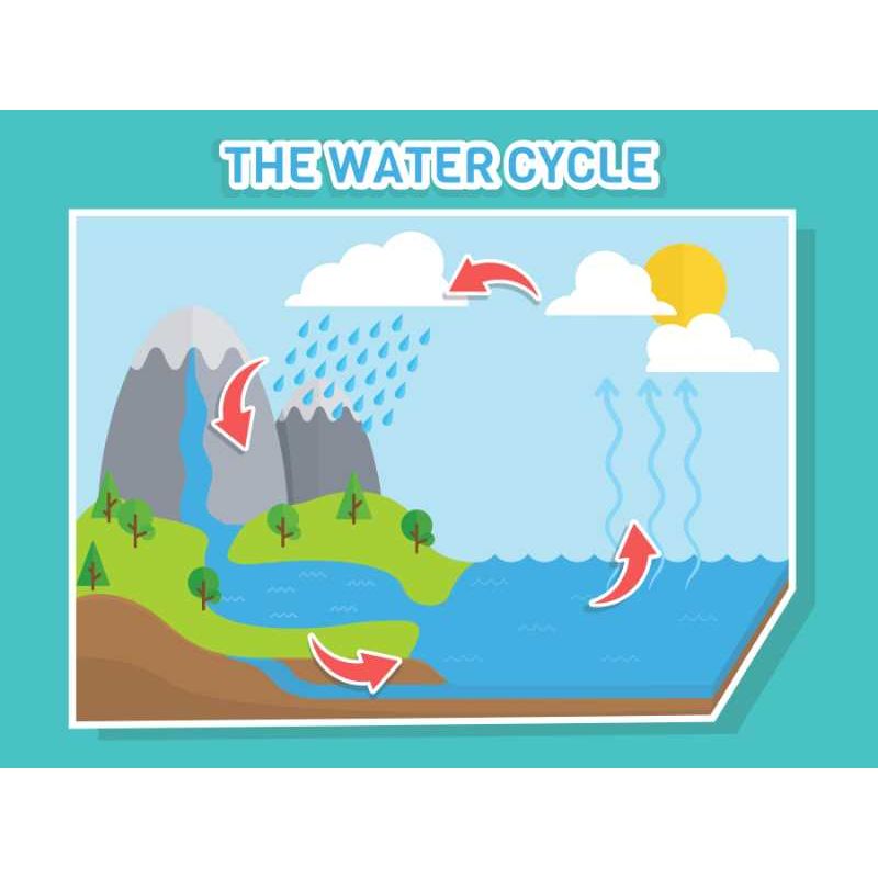 The water cycle poster - sticker 18x24.