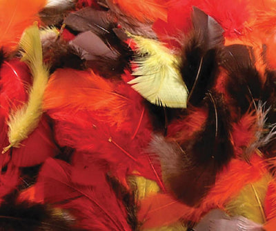 FALL COLORS ASSORTMENT Feathers 14 Gr (discontinued)