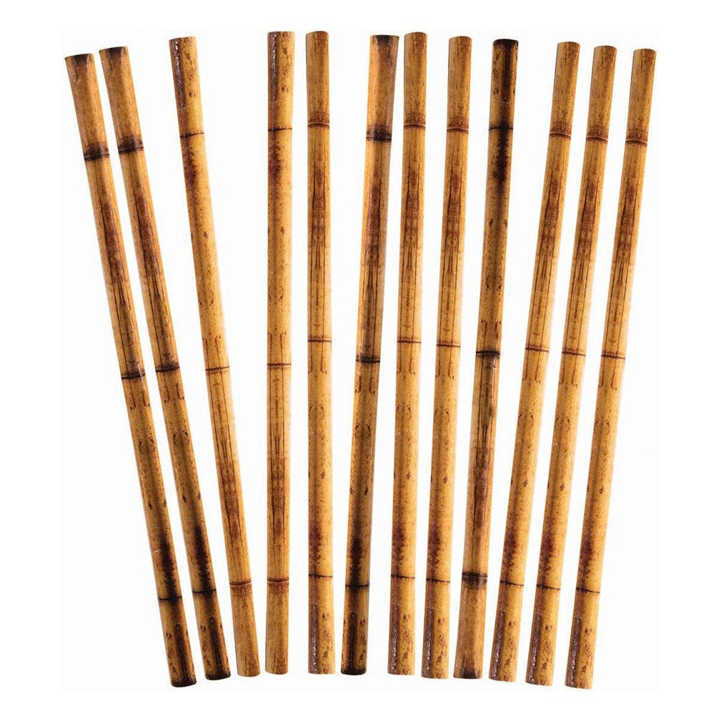 Bamboo Printed Straws 24/Pk