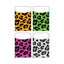 Leopard Pockets Variety Pack 3 1/2" x 5 1/4" 40/pk (discontinued)