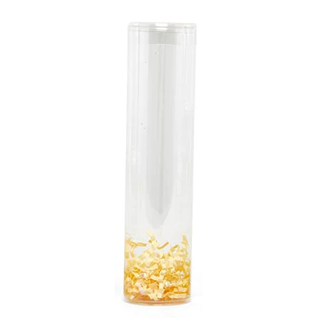 Clear Cylinder Plastic Tube W/ 1 3/4" x 9" 1pc