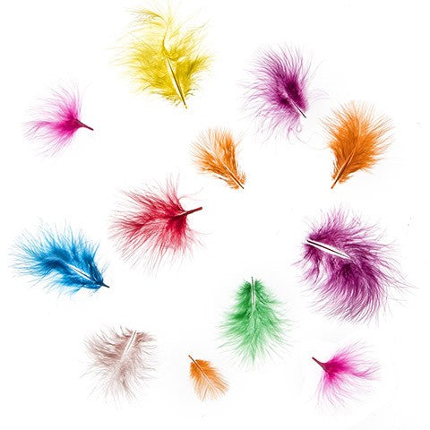 Feathers Assorted Colors 11 Grams
