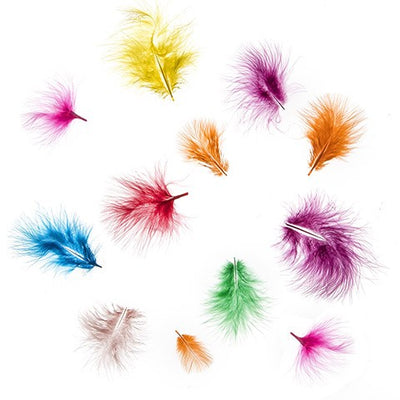 Feathers Assorted Colors 11 Grams