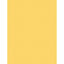 Colored Copy Paper 20lb 8.5"x11" 500/pk (White)