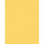 Colored Copy Paper 20lb 8.5"x11" 500/pk (White)