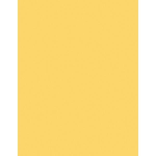 Colored Copy Paper 20lb 8.5"x11" 500/pk (White)