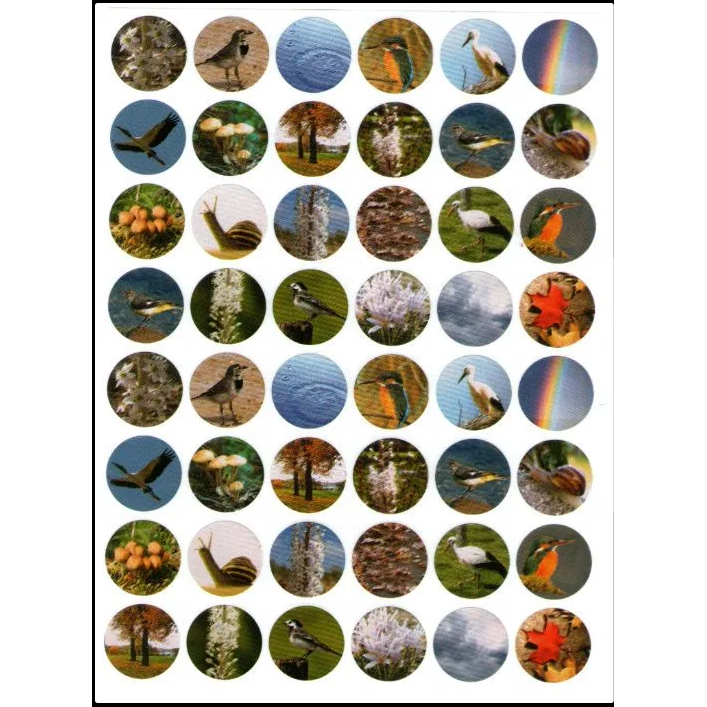 Birds & Nature Stickers 3/4" (10 sheets)
