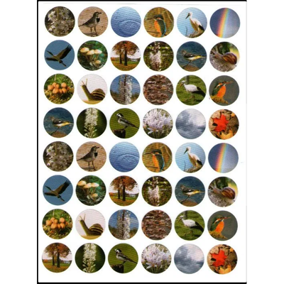 Birds & Nature Stickers 3/4" (10 sheets)