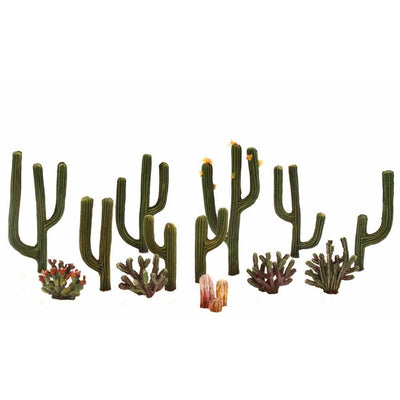 1/2" - 2 1/2" CACTUS PLANTS 13/PK
