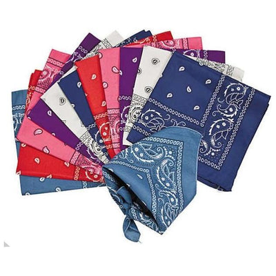 Western Bandana Assortment 48/pk 19"