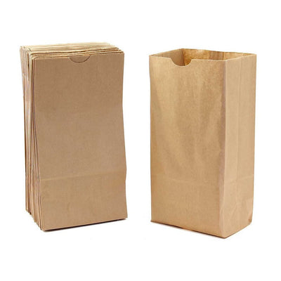 Gusseted Paper Bags (Medium 5" x 3" x 9.75", Natural/ Kraft, 100)