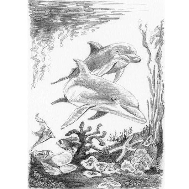 Mini Sketching Kit Dolphins