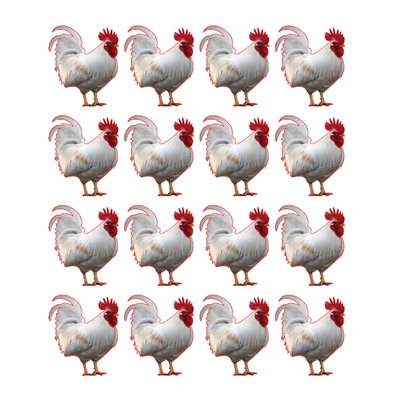 Kaparah Sticker Die cut Color Print 10/pk