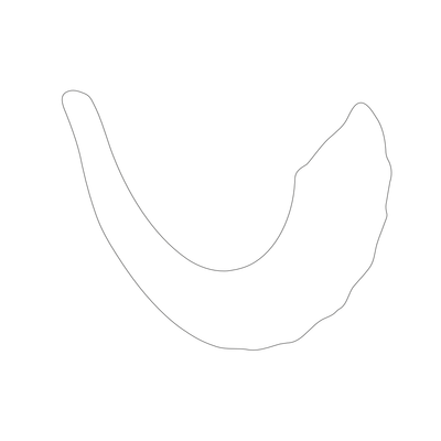 Shofar Cutouts 11" x 13" 12/pk