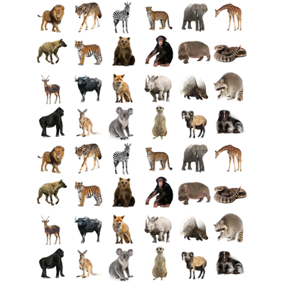 Wild Animal Stickers Round 19mm Color Print 10/pk