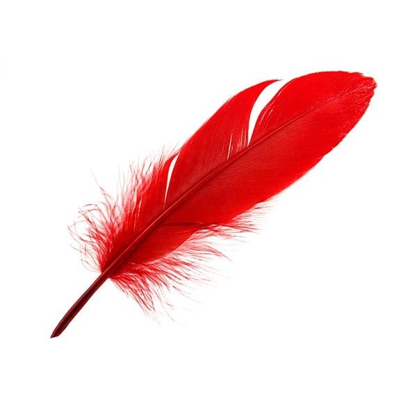 Feathers 14gr (Pink)