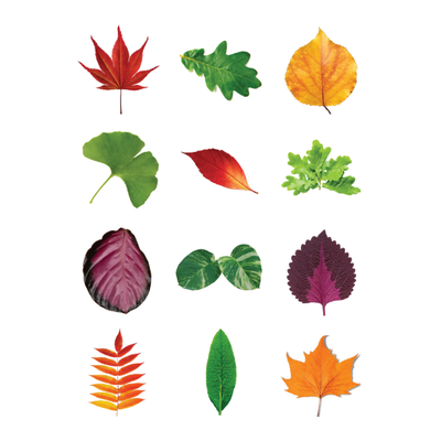 Leaves Stickers 1 1/2" Round  32mm Clear 10/pk