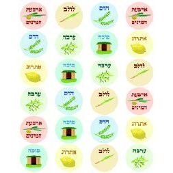 Assorted Sukkos Stickers 6 sheets