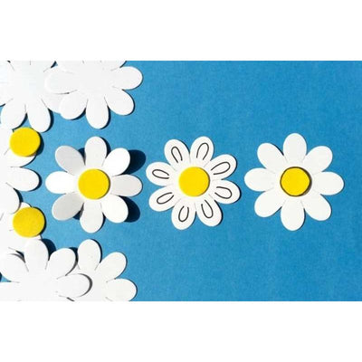 Flower Foams White And Yellow 2 1/2" 30 Sets