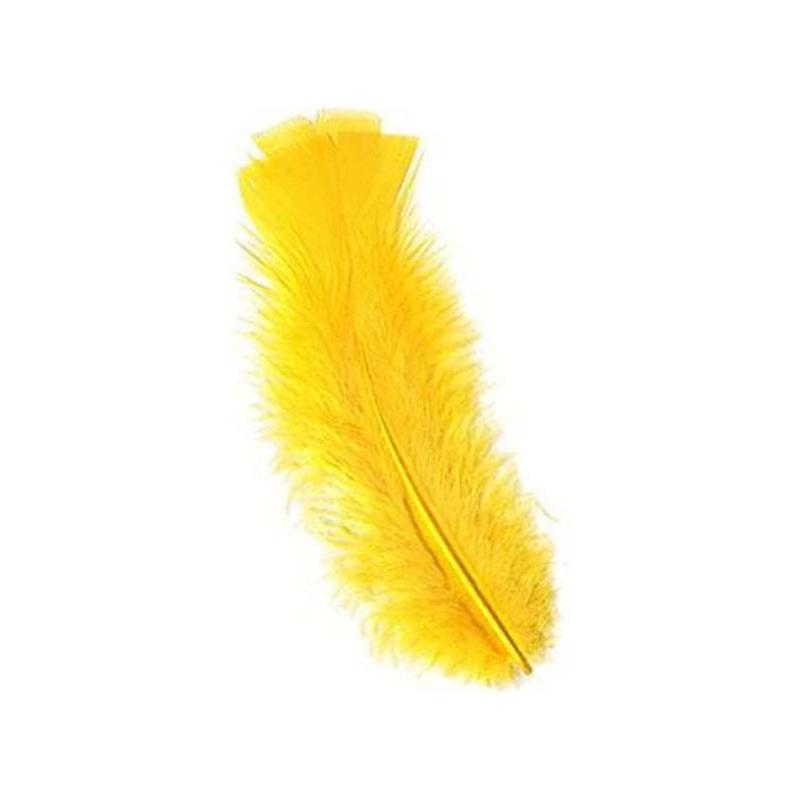 Feathers 14gr (Black)