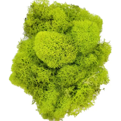 Quality growers moss 8 OZ
