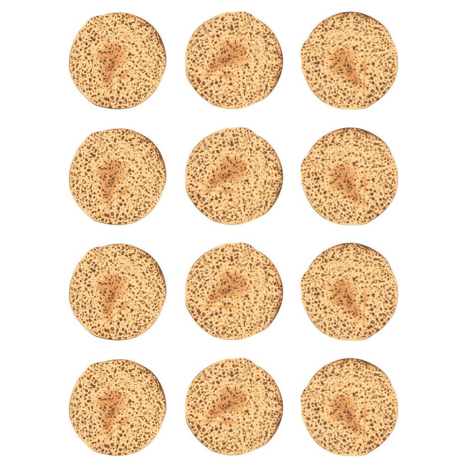 Matzah Stickers Round 32mm Color Print 10/pk