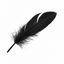Feathers 14gr (Pink)