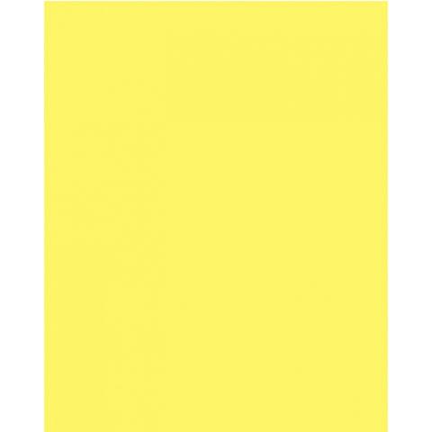Neon Poster Board 25/pk