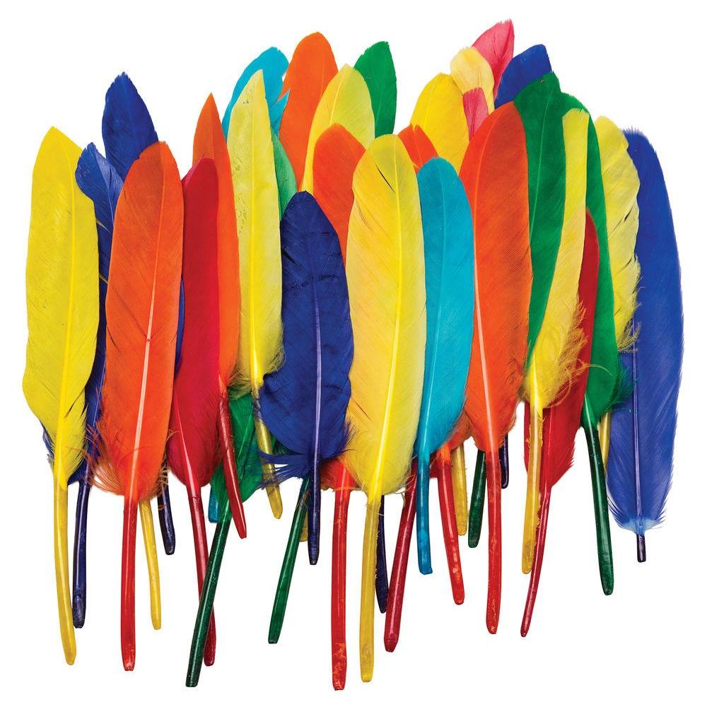 DUck Quills Feathers 14gr