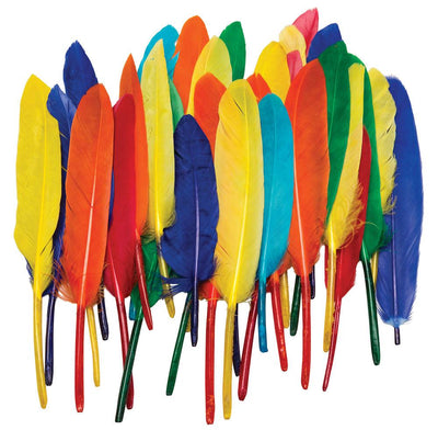 DUck Quills Feathers 14gr