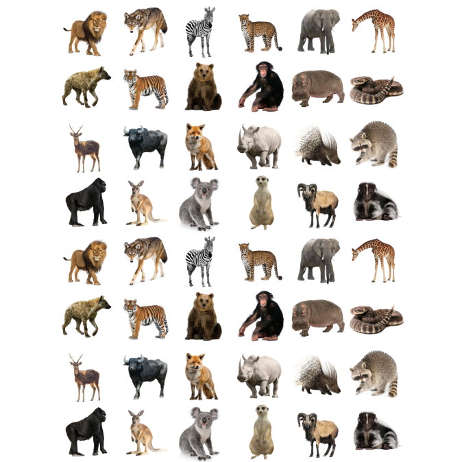 Wild Animal Stickers Round 19mm Color Print 10/pk