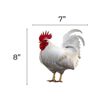 jumbo Chicken accent Cutout 9-inch 20/pk