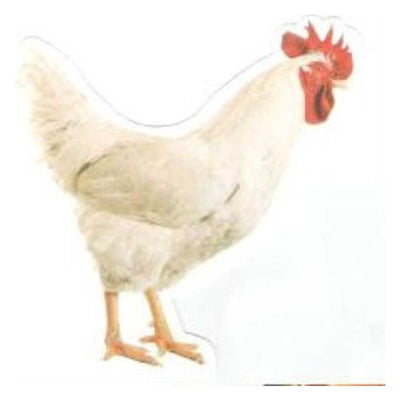 Kapporah Chicken Cutout w/glitter 5" 20/pk