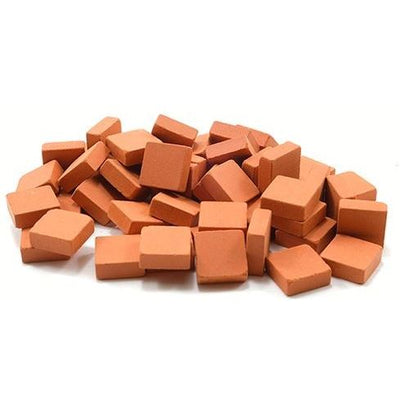 Bricks 50/pk