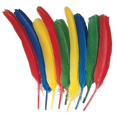Quill Feathers Assorted Colors 24 Pieces