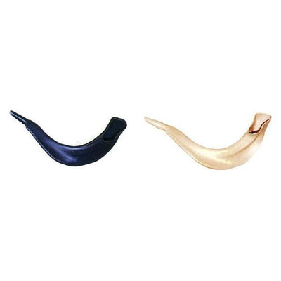 Real Looking Plastic Shofar